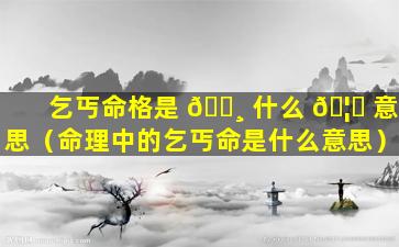 乞丐命格是 🌸 什么 🦊 意思（命理中的乞丐命是什么意思）